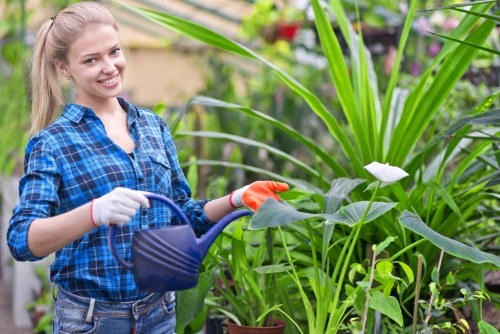 Illustration representing accessible Gardeners Freezywater services