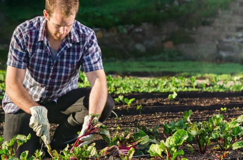 Transparent garden service rates for Freezywater properties