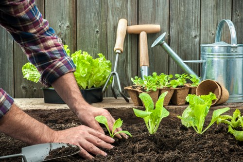 Professional garden maintenance in Freezywater during autumn