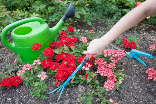 Sustainable gardening and recycling practices in Freezywater