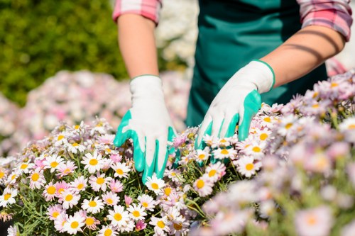 Illustration of a gardener reviewing a service complaint