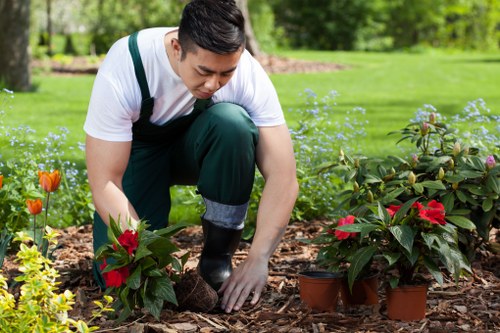 Professional garden clearance work in Freezywater with debris collection