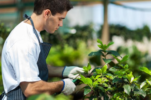 Risk assessment process for a gardening job in Freezywater