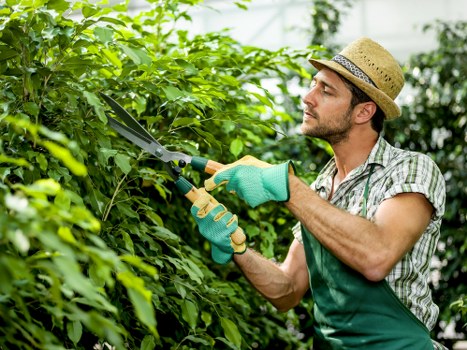 Back garden improvement with professional Freezywater gardeners