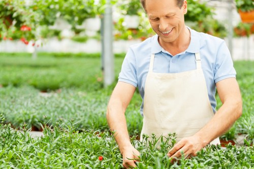 Seasonal garden maintenance in Freezywater
