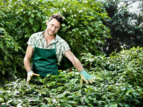 Illustration showing screen-reader friendly Gardeners Freezywater content