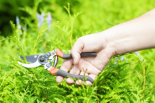Public liability insurance and safety cover for gardeners in Freezywater