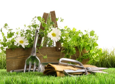 Seasonal lawn care service in Freezywater for improved grass health