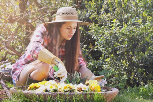 Landscape upkeep and pruning by Freezywater gardeners