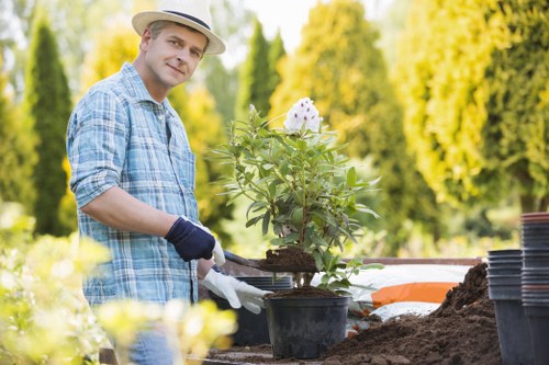 Local gardener providing hedge trimming and garden maintenance in Freezywater