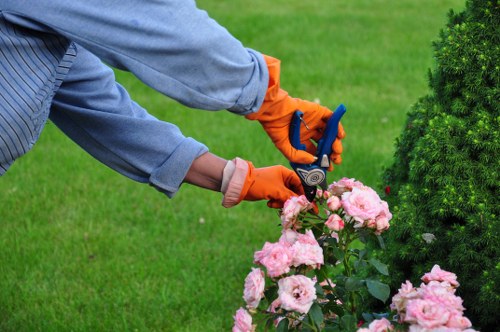 Commercial garden maintenance and landscaping support in Freezywater