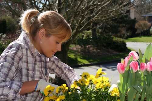 Seasonal lawn mowing work in a Freezywater garden