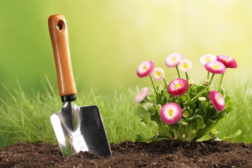Professional mowing and fertilising for Freezywater lawns