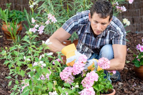 Hard landscaping features in a Freezywater outdoor space