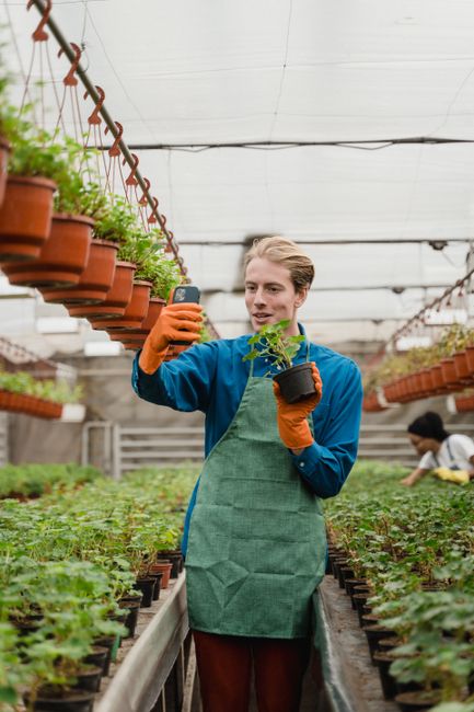 A young woman with blonde hair pulled back, wearing an apron and orange gloves, is taking a selfie inside a greenhouse. She is holding a potted plant with green foliage in her left hand. The greenhous