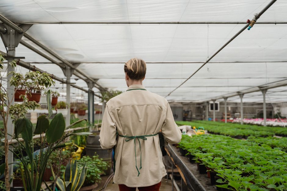A young woman with blonde hair pulled back, wearing an apron and orange gloves, is taking a selfie inside a greenhouse. She is holding a potted plant with green foliage in her left hand. The greenhous