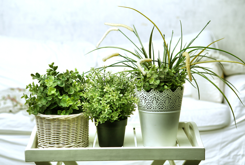 Garden yard